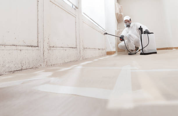 24/7 Emergency Commercial Mold Remediation experts in Terra Ceia, FL